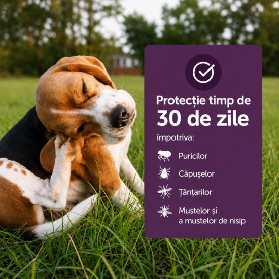 Vectra 3D – Antiparazitar Extern pentru Câini între 1,5–4 kg, 3 Pipete – Ceva Santé Animale